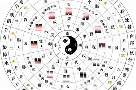 壬戌年五行|天干地支五行对照表 – 天干地支概念